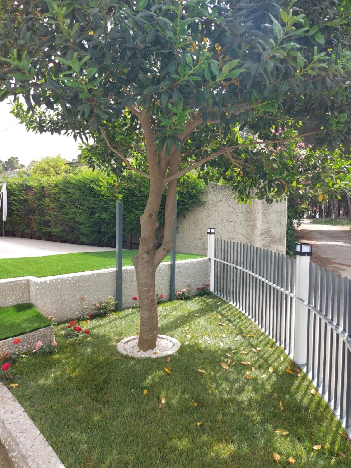 Green Relax Vlorë Exterior foto